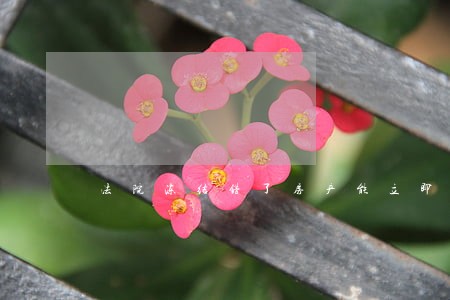 法院冻结错了房产能立即解冻吗 法院冻结错了房产能立即解冻吗