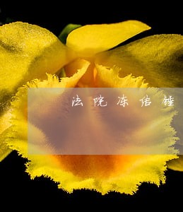 法院冻结锤子450万银行存款 法院冻结锤子450万银行存款