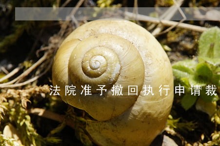 法院准予撤回执行申请裁定书