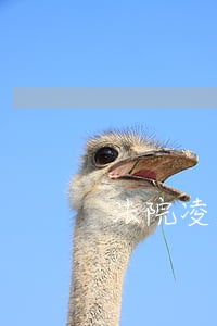 法院凌晨依法解除限制 法院凌晨依法解除限制