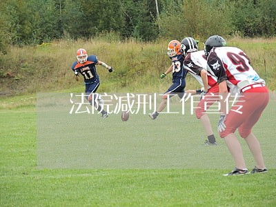 法院减刑工作宣传 法院减刑工作宣传
