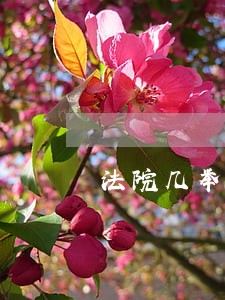 法院几举措加强法院队伍建设 法院几举措加强法院队伍建设
