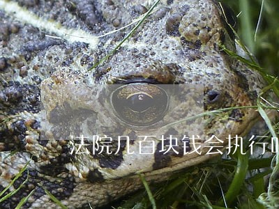 法院几百块钱会执行吗 法院几百块钱会执行吗