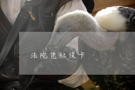 法院凭社保卡 法院凭社保卡