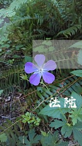 法院出判决书后 法院出判决书后