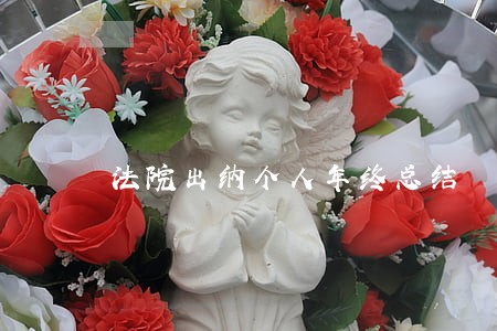 法院出纳个人年终总结 法院出纳个人年终总结