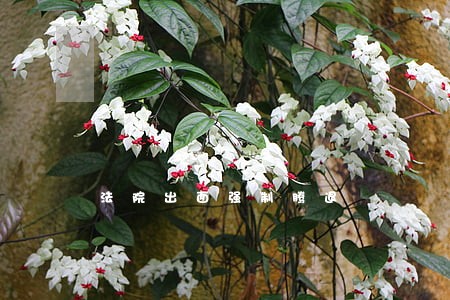 法院出面强制腾退