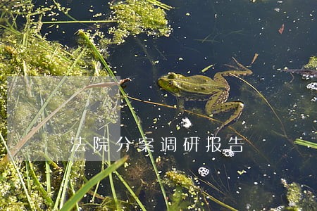 法院分案调研报告 法院分案调研报告