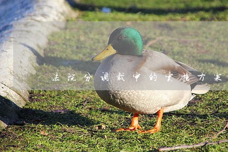 法院分调裁审的实施方案 法院分调裁审的实施方案