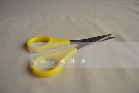 法院分配律师 法院分配律师