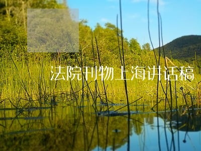 法院刊物上海讲话稿