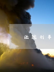 法院刑事强制执行程序是怎样的 法院刑事强制执行程序是怎样的