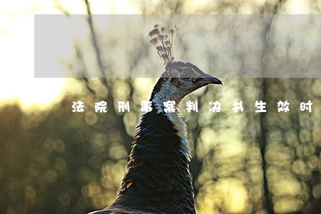 法院刑事案判决书生效时间