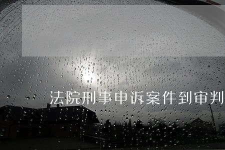 法院刑事申诉案件到审判监督庭 法院刑事申诉案件到审判监督庭