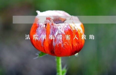 法院刑事被害人救助 法院刑事被害人救助