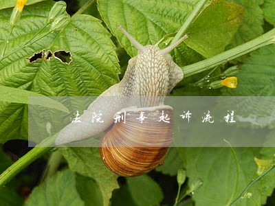 法院刑事起诉流程