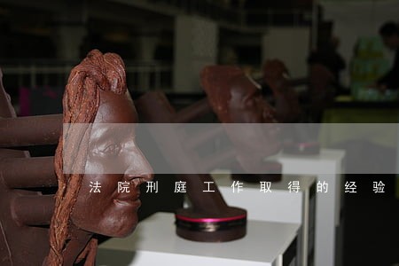 法院刑庭工作取得的经验 法院刑庭工作取得的经验
