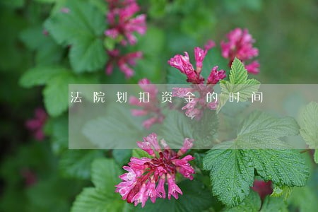 法院划扣资金的时间