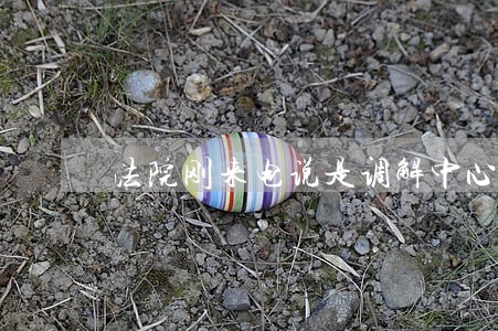 法院刚来电说是调解中心 法院刚来电说是调解中心