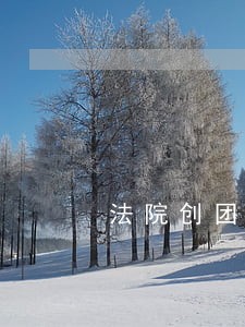 法院创团队执行多措施 法院创团队执行多措施