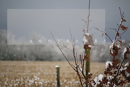 法院判下来之后多久会打钱出来 法院判下来之后多久会打钱出来