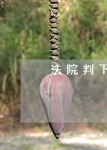 法院判下来对方不履行怎么办 法院判下来对方不履行怎么办
