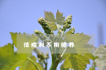 法院判不用赡养 法院判不用赡养