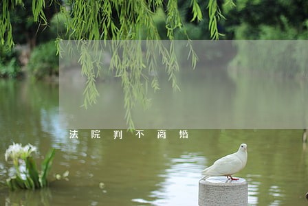 法院判不离婚