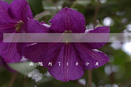 法院判了10个月