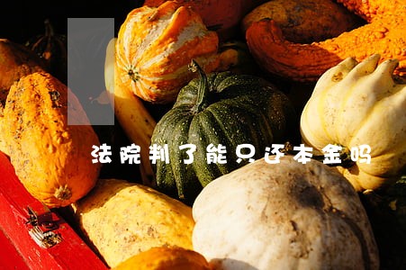 法院判了能只还本金吗 法院判了能只还本金吗