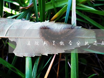法院判了能否分批还款 法院判了能否分批还款