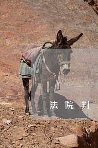 法院判互赔数千元医疗费 法院判互赔数千元医疗费