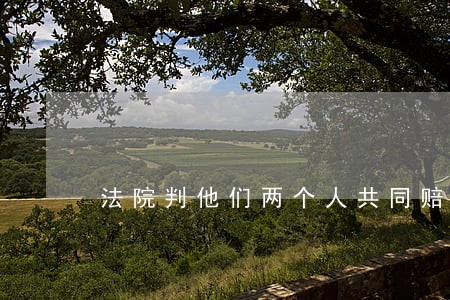 法院判他们两个人共同赔偿 法院判他们两个人共同赔偿