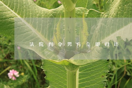 法院判令男方立即归还 法院判令男方立即归还