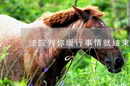 法院判你缓行事情就结束了嘛 法院判你缓行事情就结束了嘛