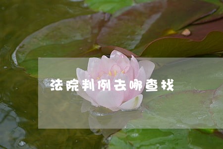 法院判例去哪查找 法院判例去哪查找