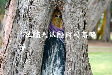 法院判保险公司需赔 法院判保险公司需赔