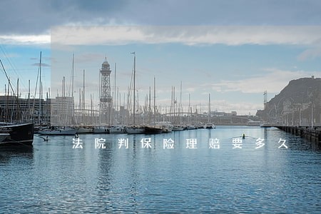 法院判保险理赔要多久 法院判保险理赔要多久