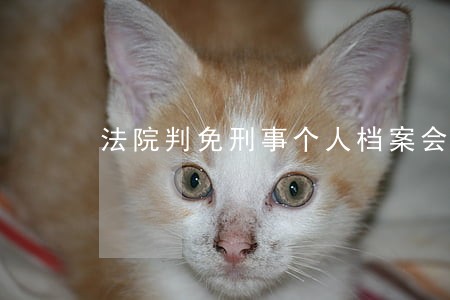 法院判免刑事个人档案会有吗 法院判免刑事个人档案会有吗