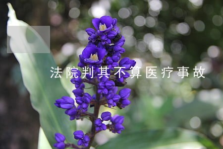 法院判其不算医疗事故 法院判其不算医疗事故