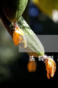 法院判其故意杀人罪 法院判其故意杀人罪