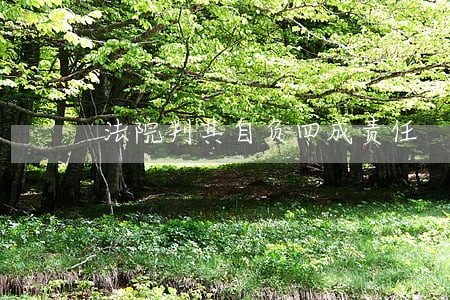 法院判其自负四成责任 法院判其自负四成责任