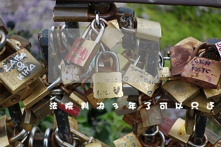 法院判决3年了可以只还本金吗 法院判决3年了可以只还本金吗