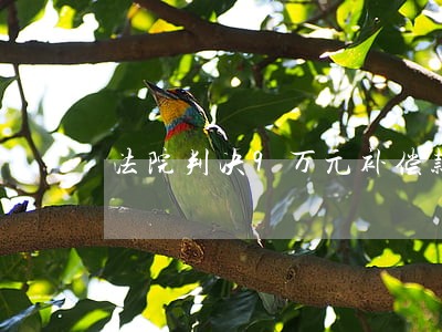 法院判决9万元补偿款圆满执结 法院判决9万元补偿款圆满执结