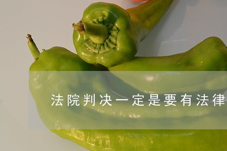 法院判决一定是要有法律依据 法院判决一定是要有法律依据