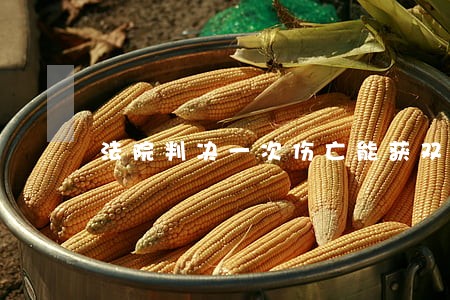 法院判决一次伤亡能获双重赔偿 法院判决一次伤亡能获双重赔偿