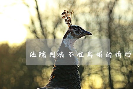 法院判决不准离婚的情形盘点