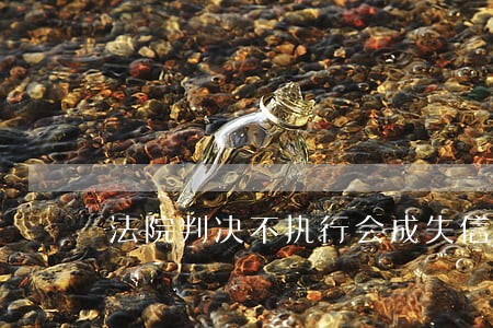 法院判决不执行会成失信人员吗 法院判决不执行会成失信人员吗