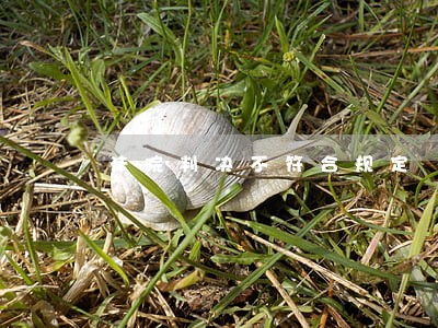 法院判决不符合规定 法院判决不符合规定