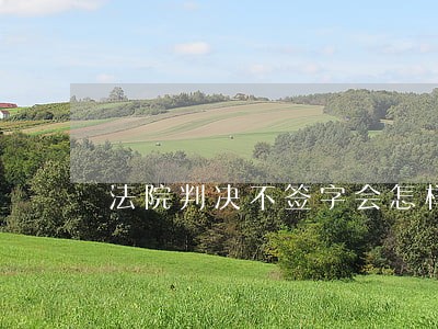法院判决不签字会怎样